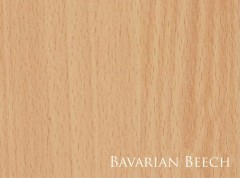 bavarian-beech