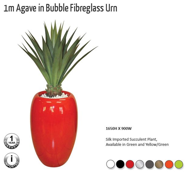 1m agave in bubble fibreglass urn