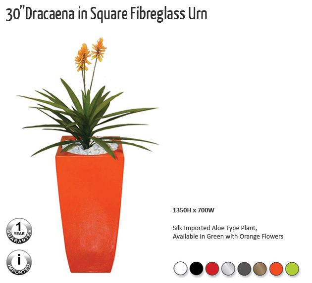 30 ”Dracaena  in  Square  Fibreglass  Urn