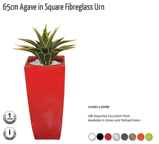 65cm agave in square fibreglass urn