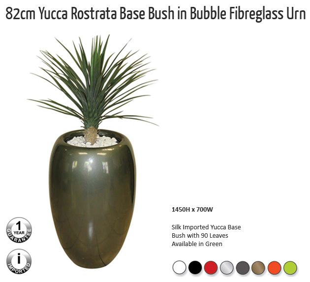 82cm yucca rostrata base bush in bubble fibreglass urn