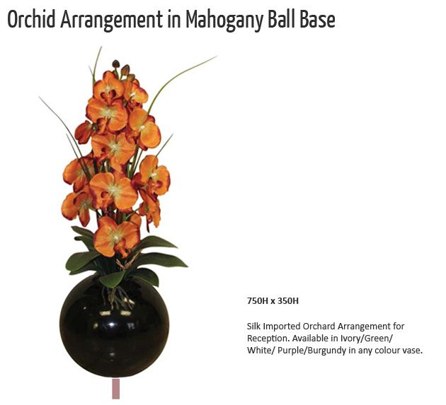 orchid arrangement in mahogany ball base