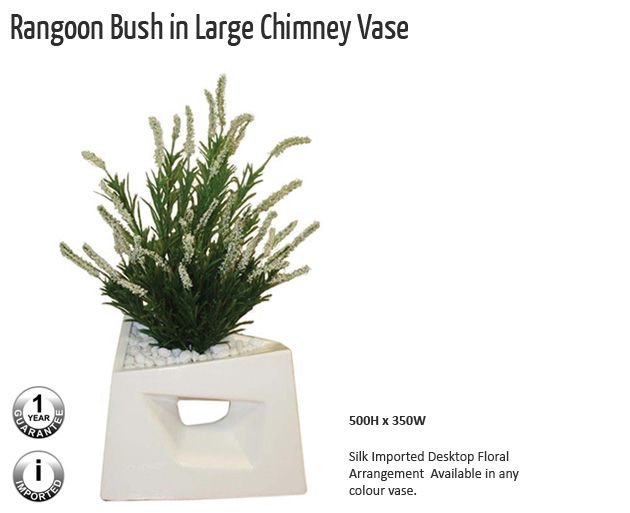 rangoon bush in large chimney vase